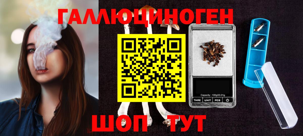 Псилоцибиновые грибы Psilocybe  Вход с VPN  Белово 